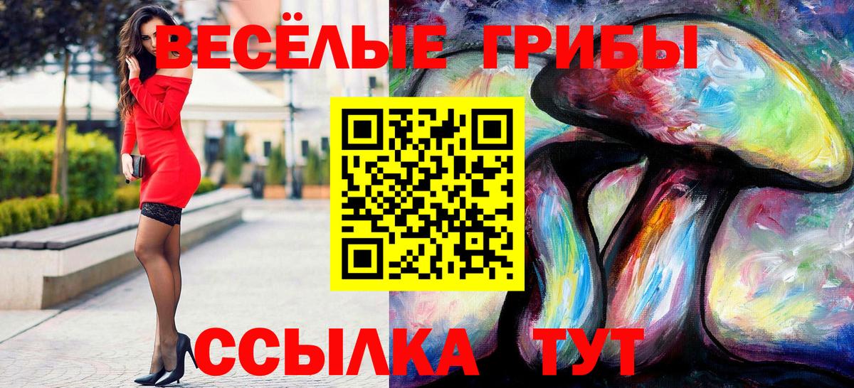 Семёнов  Псилоцибиновые грибы Psilocybe  Вход с VPN 