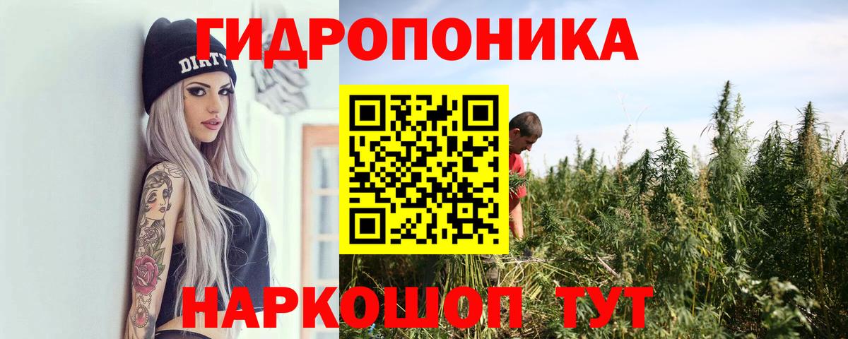 Конопля тримм  Вход с VPN  Бошки марихуана конопля  Семёнов  Бошки марихуана семена 